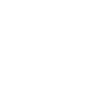 International Road Dynamics Inc.