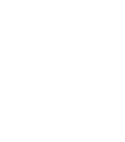 International Road Dynamics Inc.